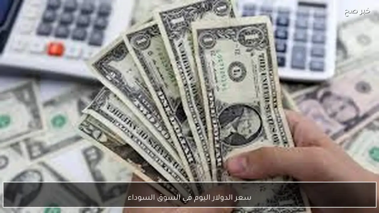 تحديث لحظي.. سعر الدولار اليوم في السوق السوداء السبت 31-1-2026 مقابل الجنيه المصري