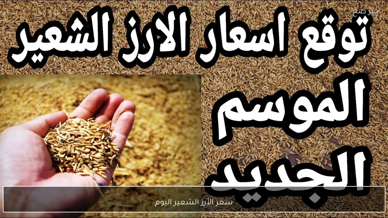 الطن بكام؟.. سعر الأرز الشعير اليوم الاثنين الموافق 19 يناير 2026 للمستهلكين والتجار في مصر