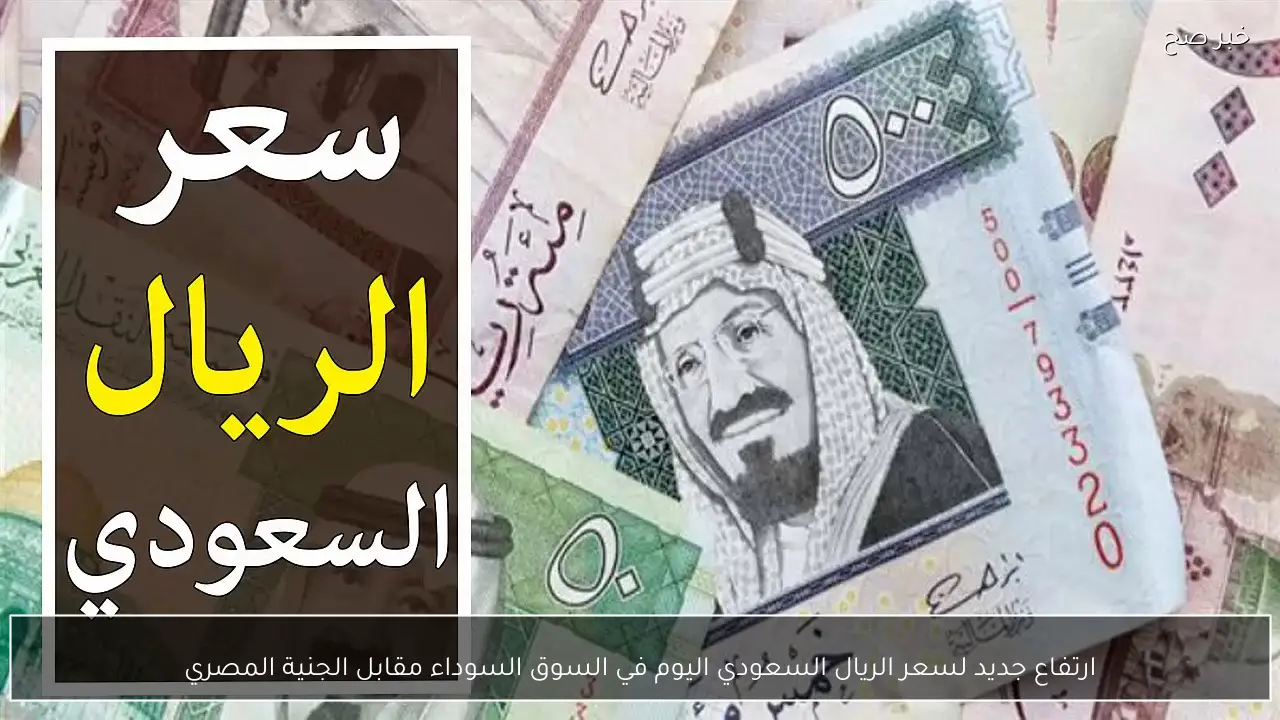 ارتفاع جديد لسعر الريال السعودي اليوم في السوق السوداء مقابل الجنية المصري