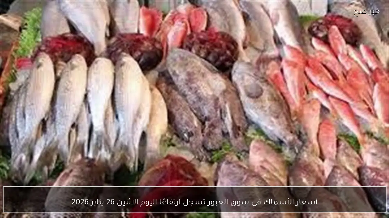 أسعار الأسماك في سوق العبور تسجل ارتفاعًا اليوم الاثنين 26 يناير 2026