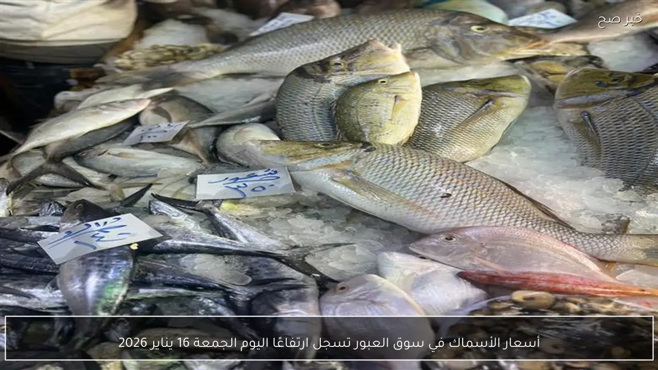 أسعار الأسماك في سوق العبور تسجل ارتفاعًا اليوم الجمعة 16 يناير 2026