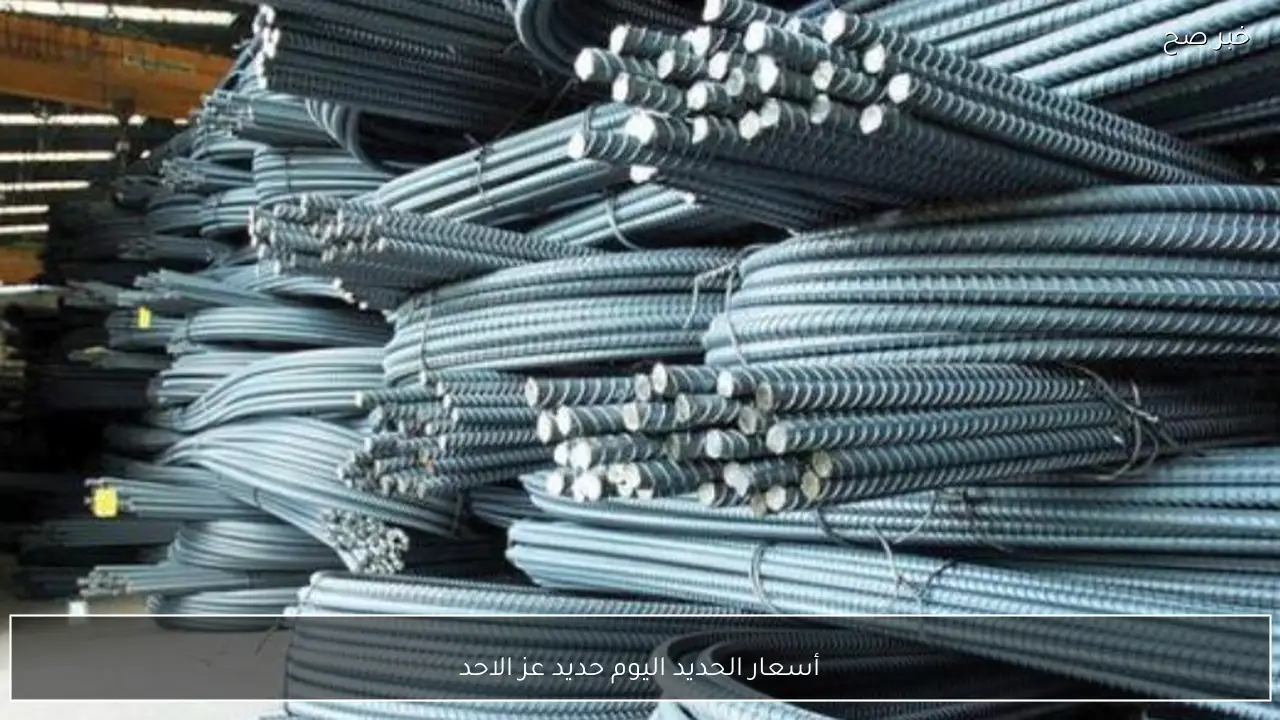 أسعار الحديد اليوم حديد عز الاحد 25 يناير 2026 وفق تصريحات شعبة مواد البناء
