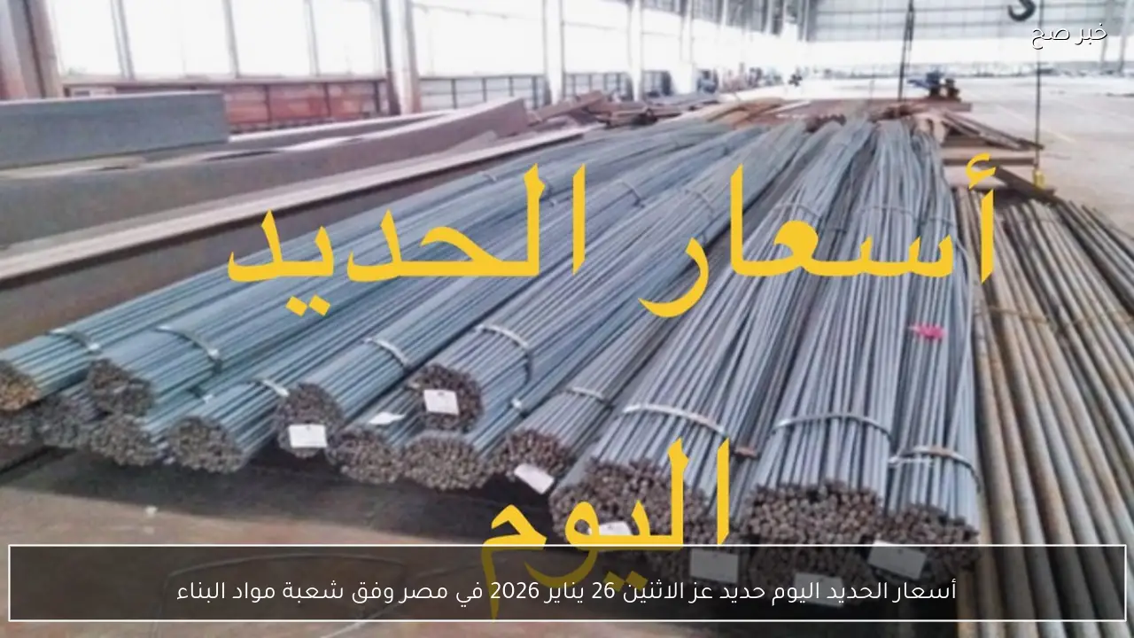 أسعار الحديد اليوم حديد عز الاثنين 26 يناير 2026 في مصر وفق شعبة مواد البناء