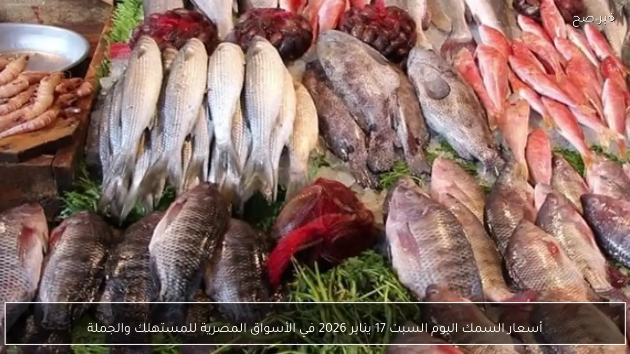 أسعار السمك اليوم السبت 17 يناير 2026 في الأسواق المصرية للمستهلك والجملة
