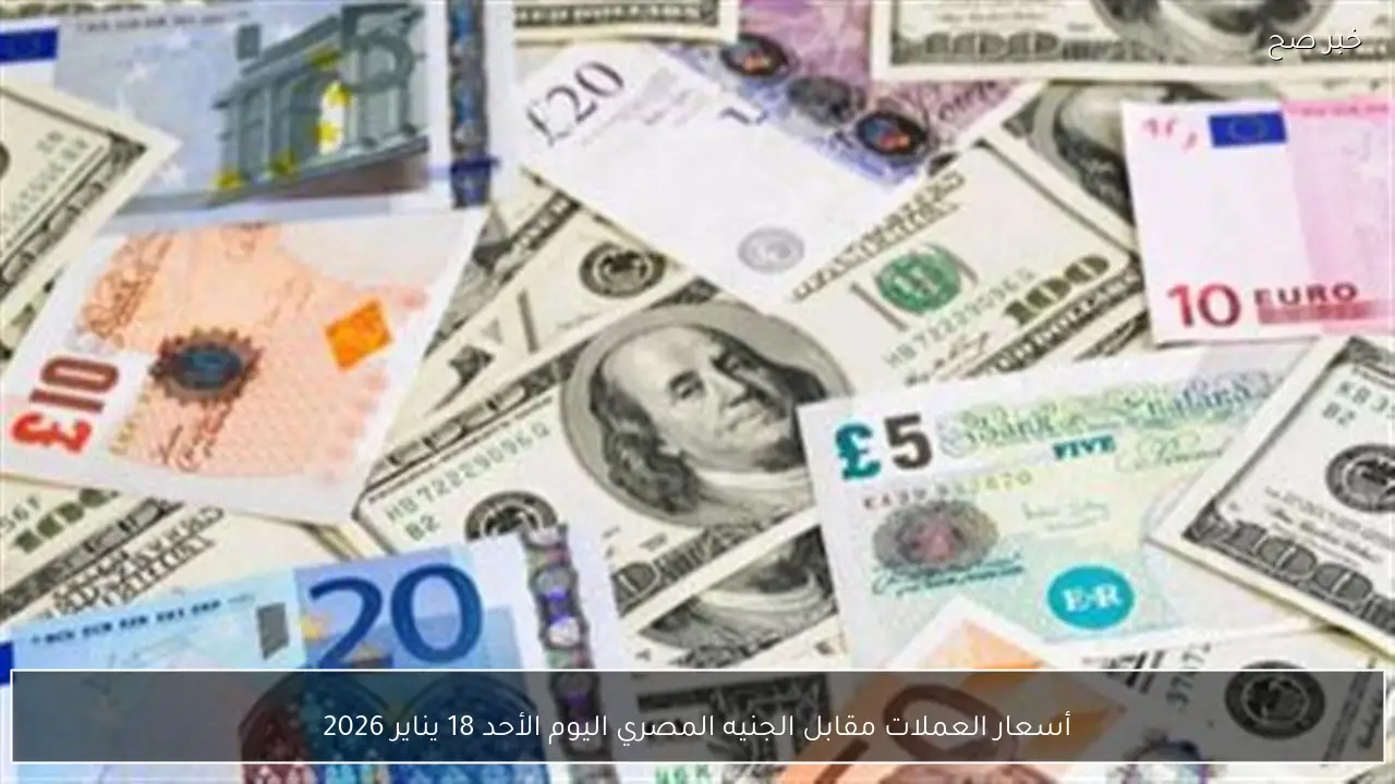 أسعار العملات مقابل الجنيه المصري اليوم الأحد 18 يناير 2026