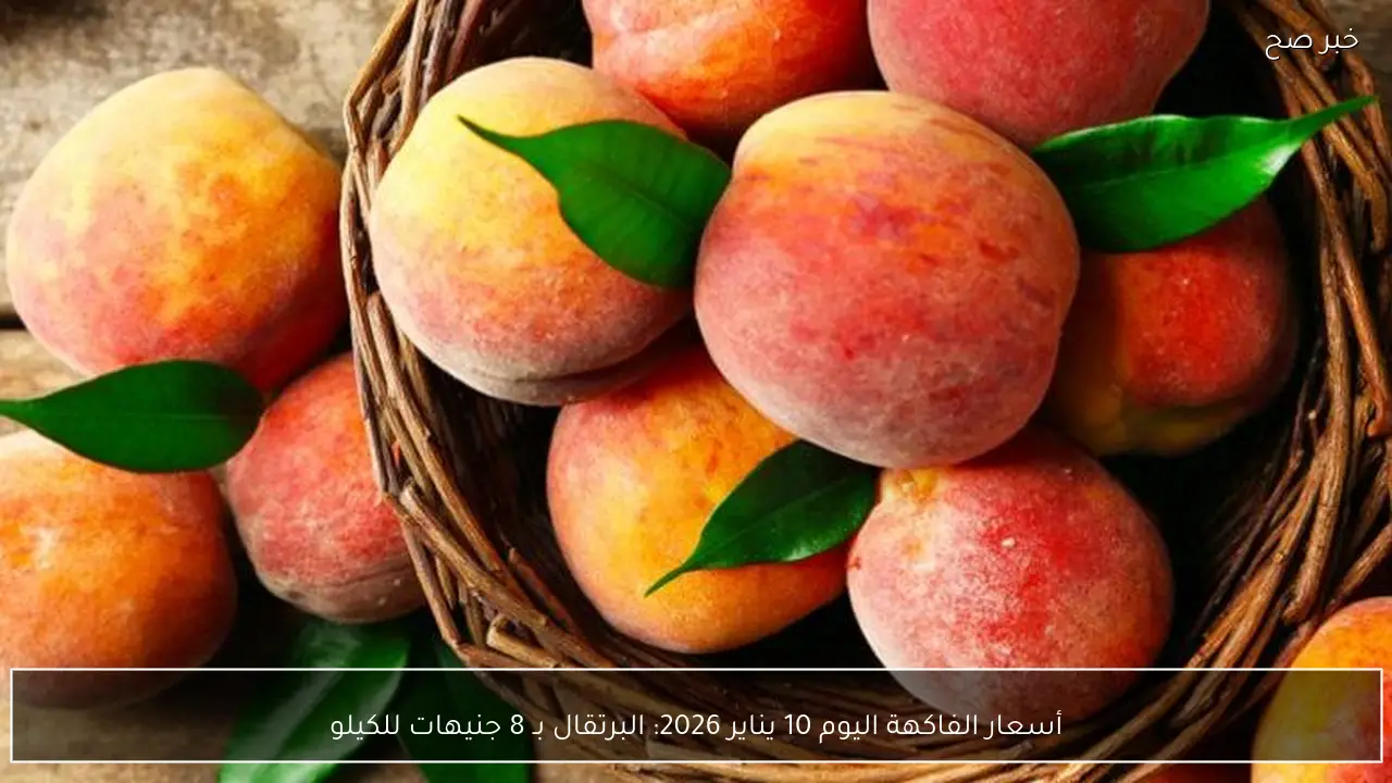 أسعار الفاكهة اليوم 10 يناير 2026: البرتقال بـ 8 جنيهات للكيلو