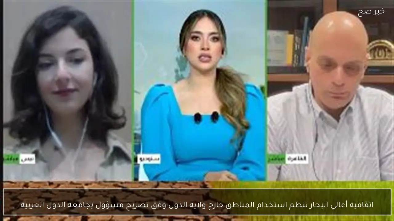 اتفاقية أعالي البحار تنظم استخدام المناطق خارج ولاية الدول وفق تصريح مسؤول بجامعة الدول العربية