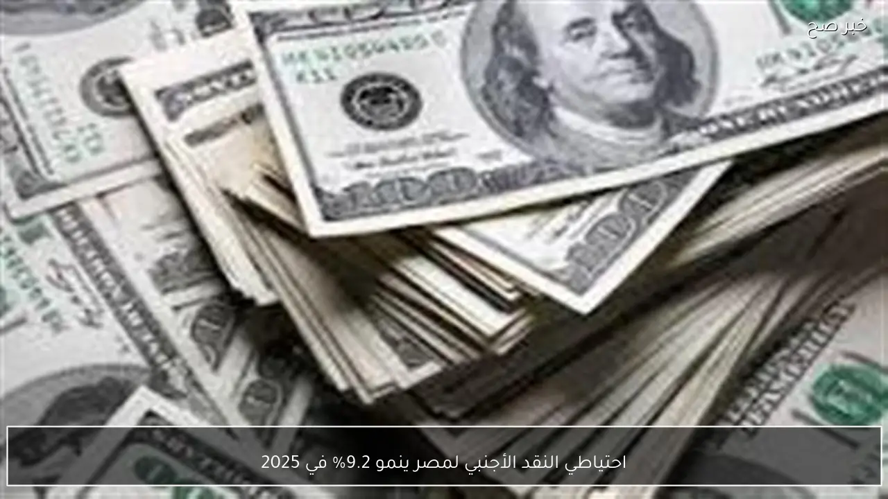 احتياطي النقد الأجنبي لمصر ينمو 9.2% في 2025