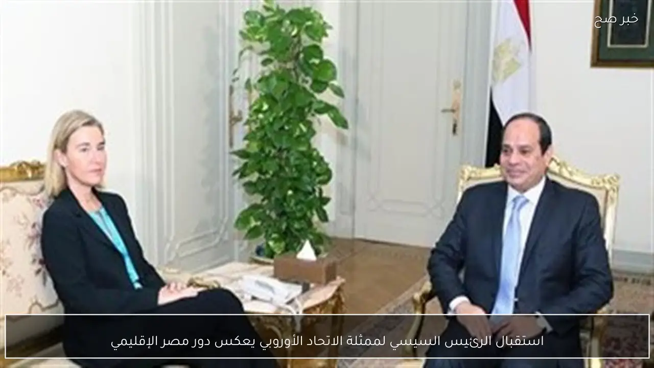 استقبال الرئيس السيسي لممثلة الاتحاد الأوروبي يعكس دور مصر الإقليمي