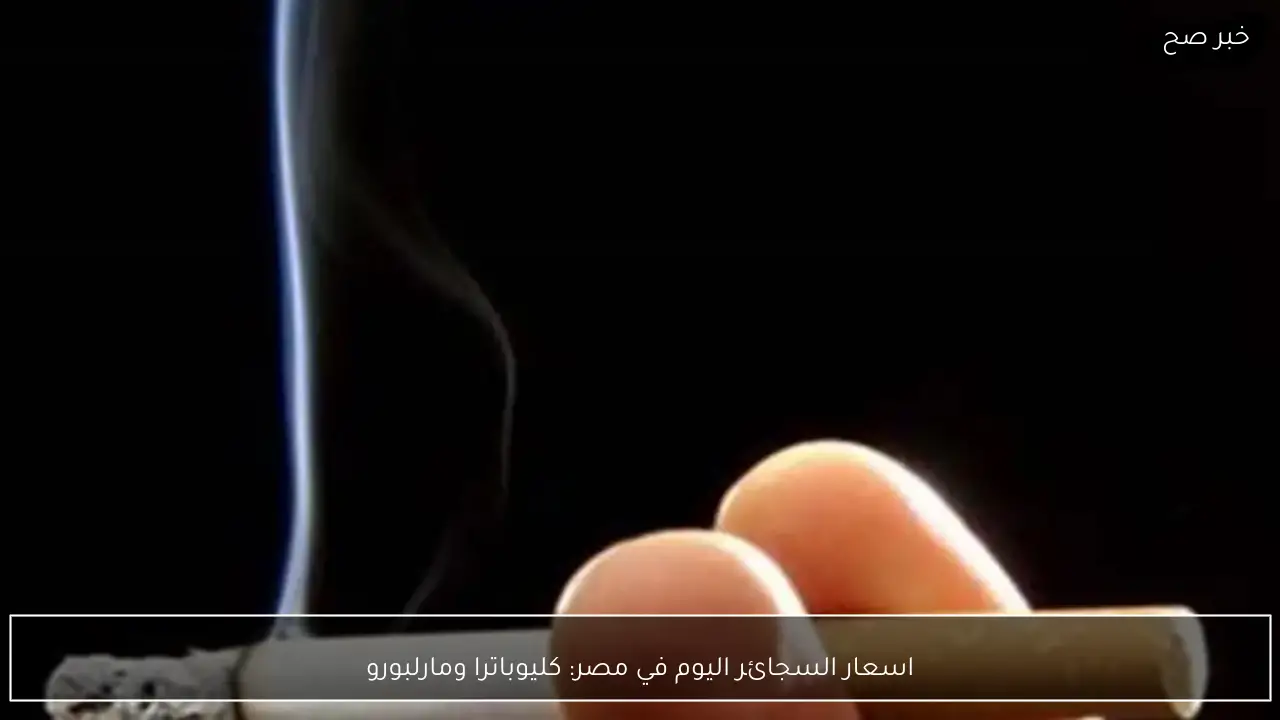 اسعار السجائر اليوم الاثنين 19-1-2026 في مصر: كليوباترا ومارلبورو