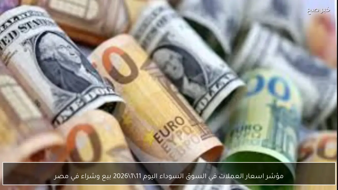 مؤشر اسعار العملات في السوق السوداء اليوم 11\1\2026 بيع وشراء