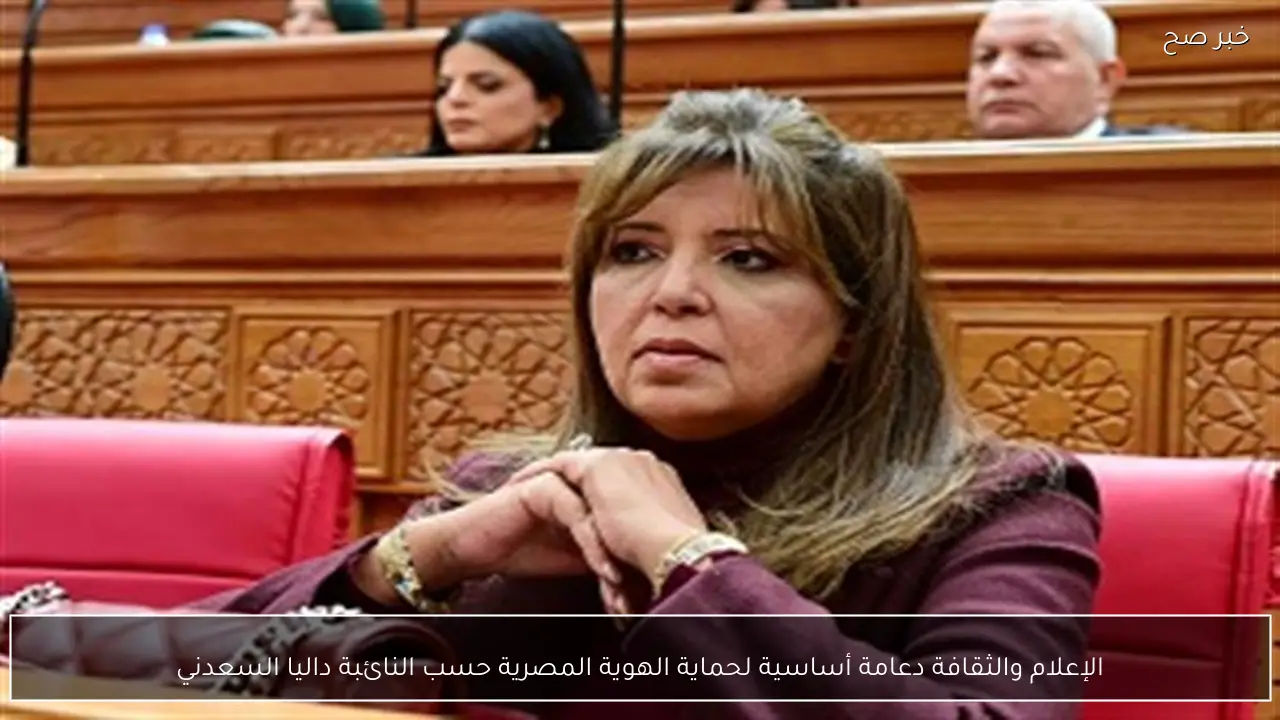 الإعلام والثقافة دعامة أساسية لحماية الهوية المصرية حسب النائبة داليا السعدني