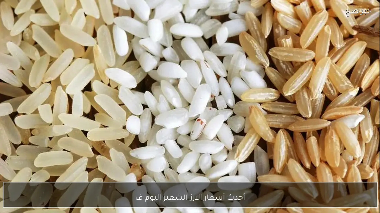 أحدث أسعار الارز الشعير اليوم 18-1-2026 في الاسواق المحلية
