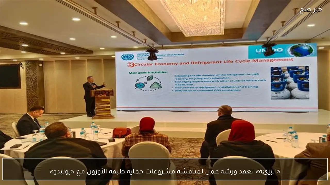 «البيئة» تعقد ورشة عمل لمناقشة مشروعات حماية طبقة الأوزون مع «يونيدو»