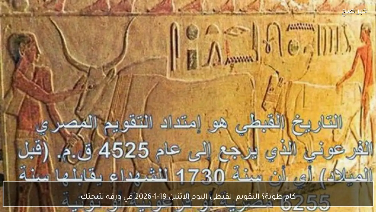 كام طوبة؟ التقويم القبطي اليوم الاثنين 19-1-2026 في ورقه نتيجتك