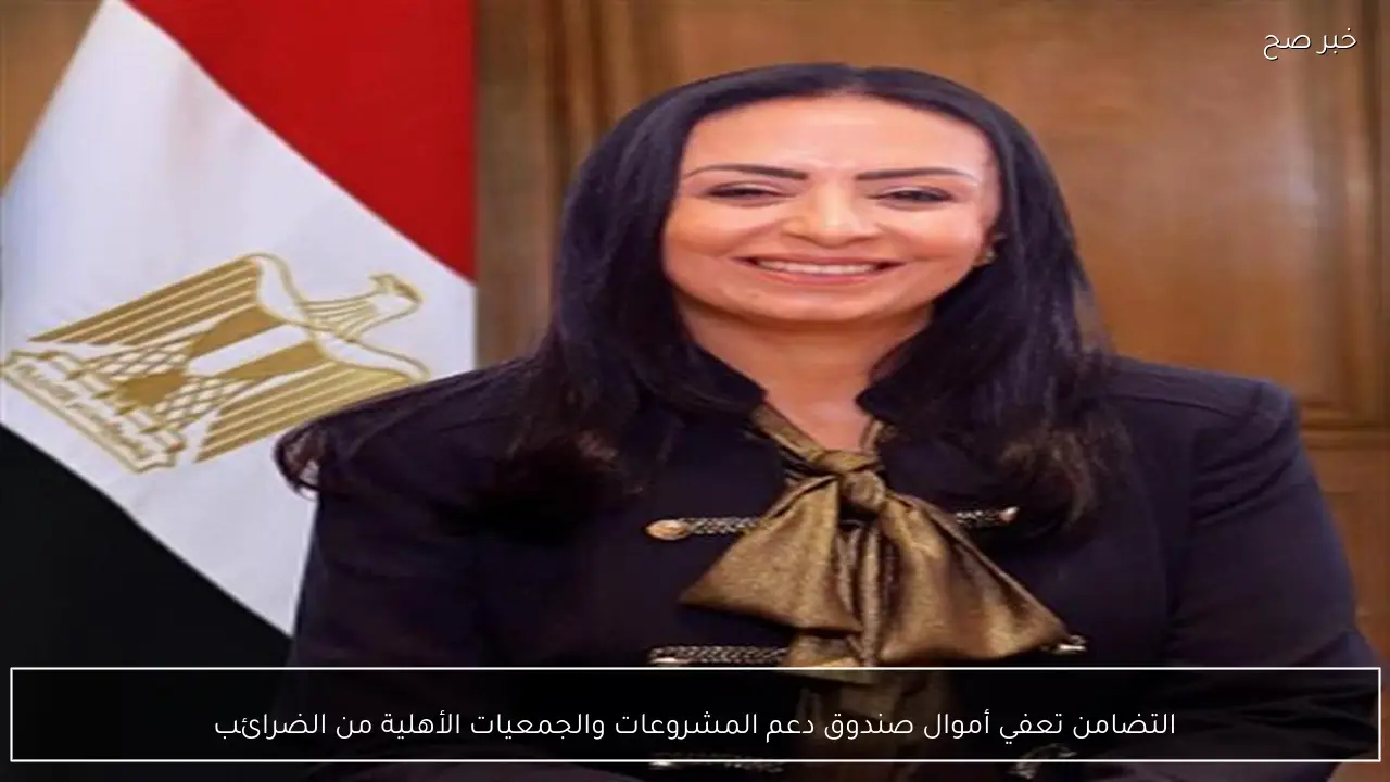 التضامن تعفي أموال صندوق دعم المشروعات والجمعيات الأهلية من الضرائب