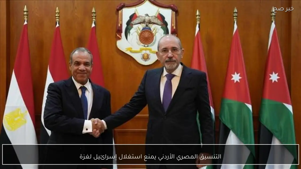 التنسيق المصري الأردني يمنع استغلال إسرائيل لغزة