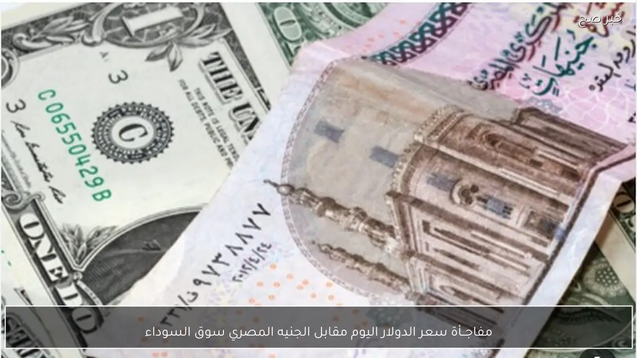 مفاجــأة سعر الدولار اليوم مقابل الجنيه المصري سوق السوداء