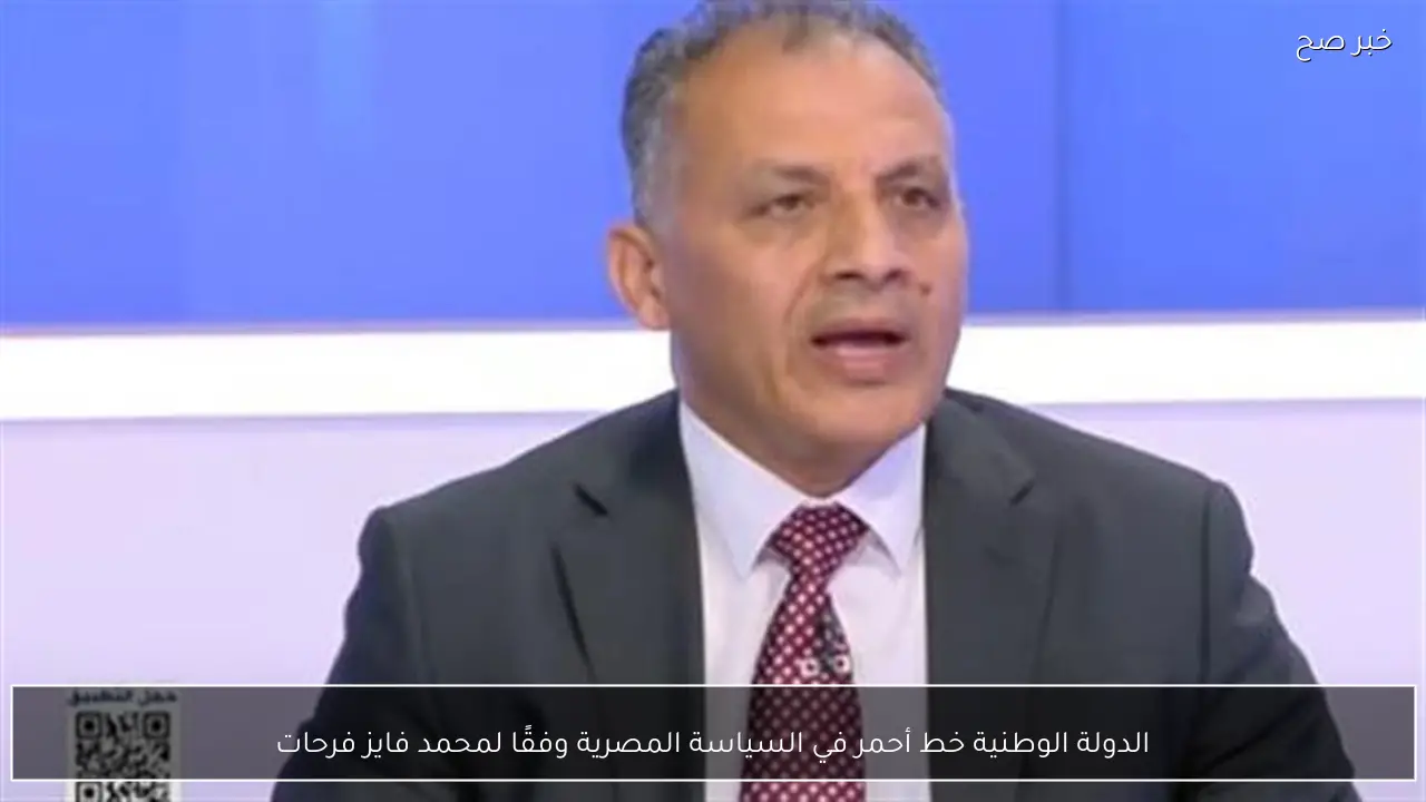 الدولة الوطنية خط أحمر في السياسة المصرية وفقًا لمحمد فايز فرحات