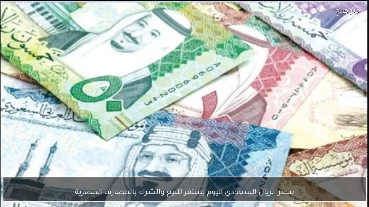 سعر الريال السعودي اليوم يستقر للبيع والشراء بالمصارف المصرية