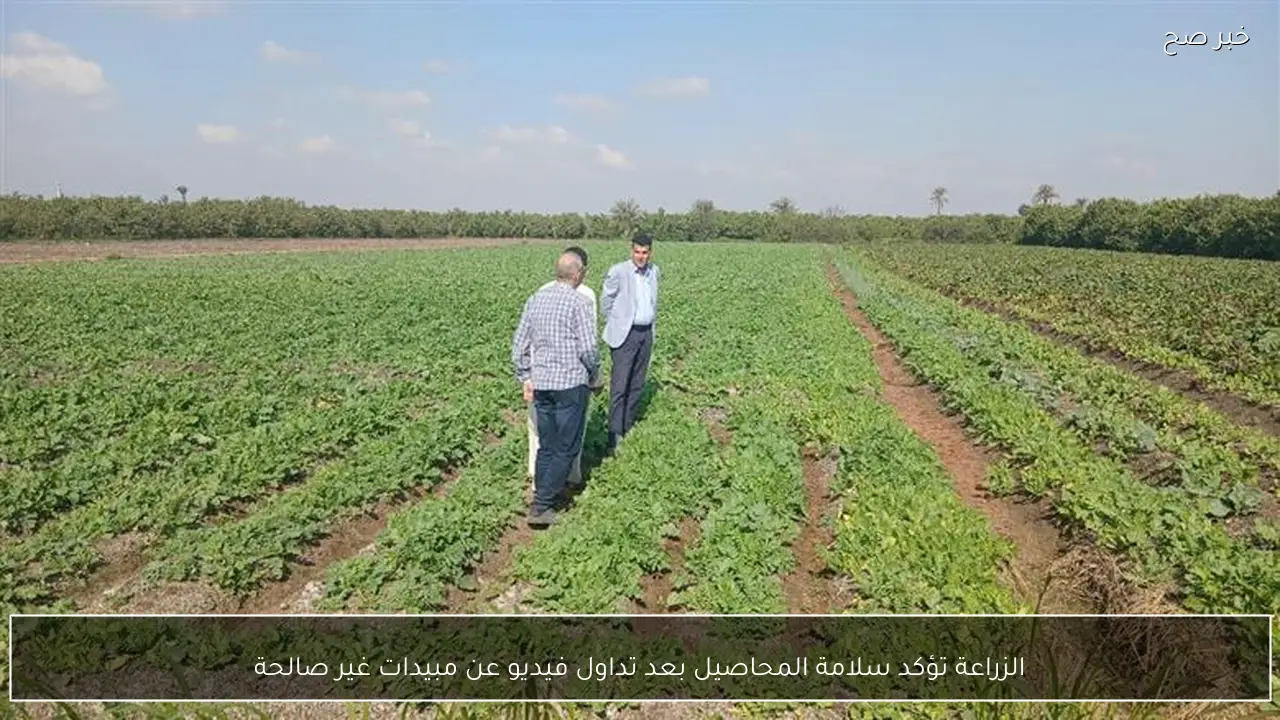 الزراعة تؤكد سلامة المحاصيل بعد تداول فيديو عن مبيدات غير صالحة