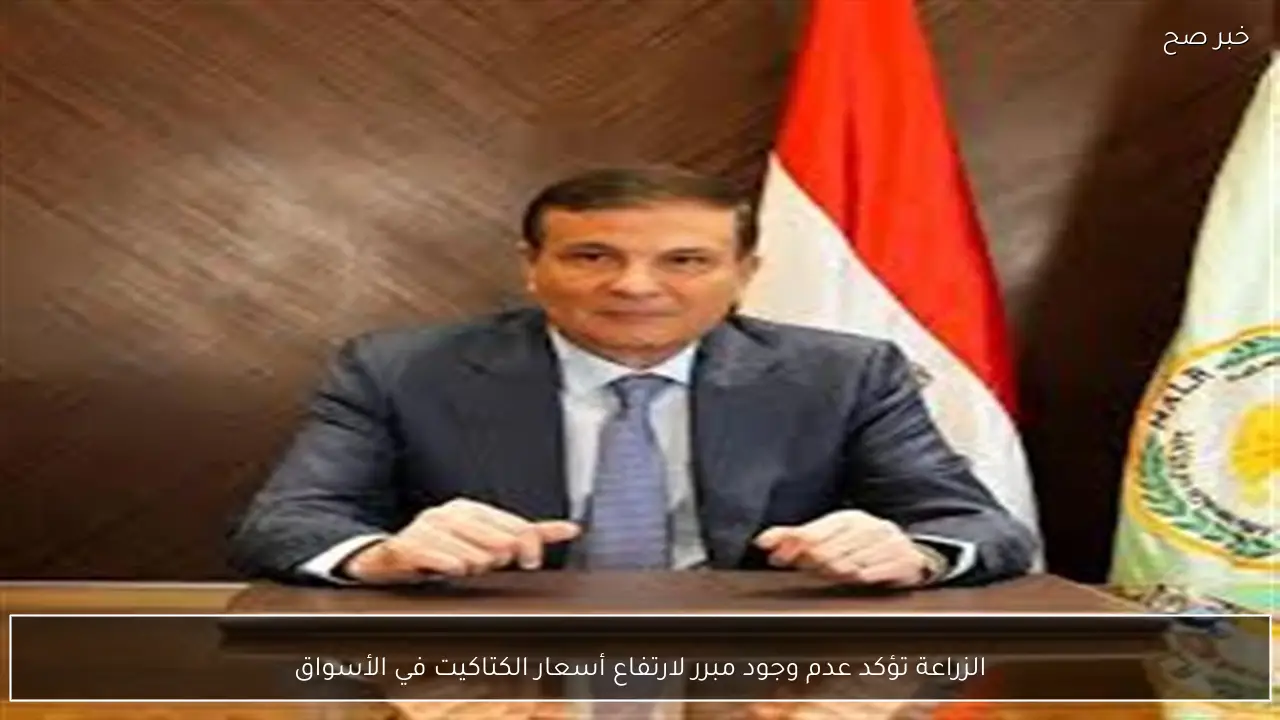 الزراعة تؤكد عدم وجود مبرر لارتفاع أسعار الكتاكيت في الأسواق