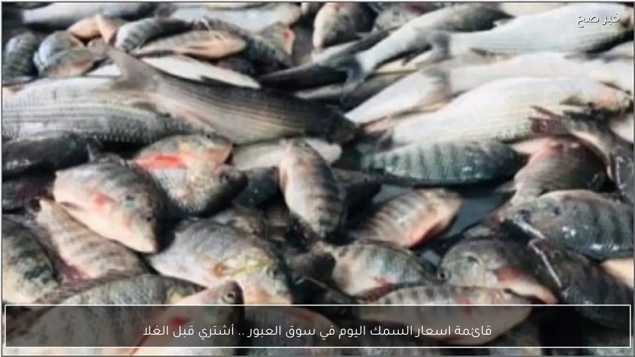 قائمة اسعار السمك اليوم في سوق العبور .. أشتري قبل الغلا