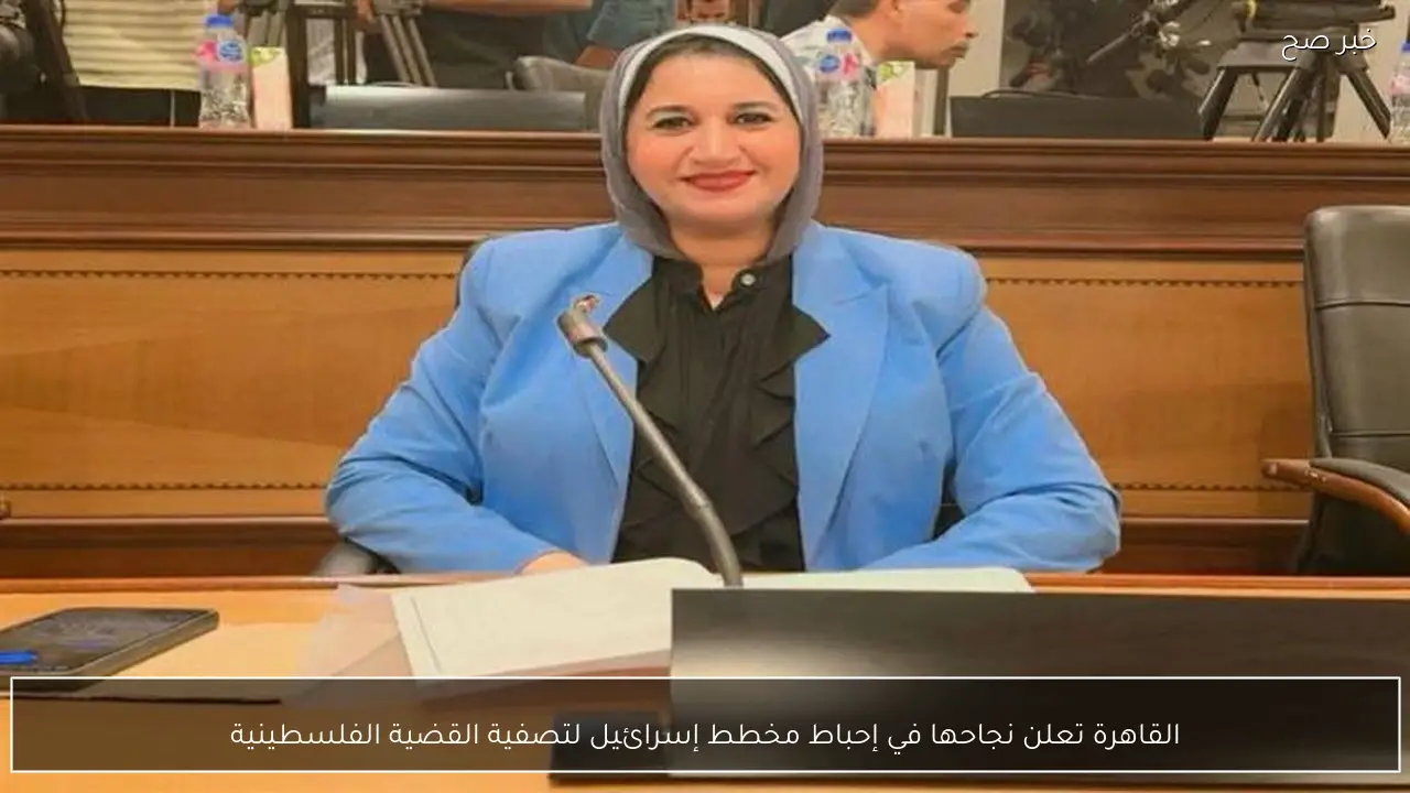 القاهرة تعلن نجاحها في إحباط مخطط إسرائيل لتصفية القضية الفلسطينية