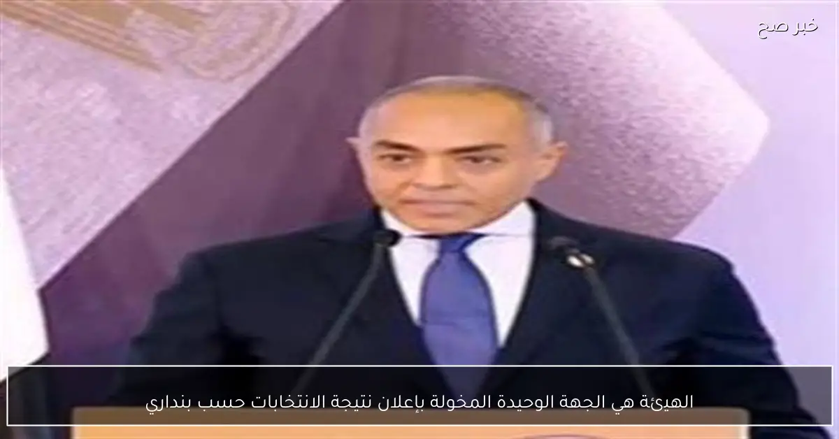 الهيئة هي الجهة الوحيدة المخولة بإعلان نتيجة الانتخابات حسب بنداري