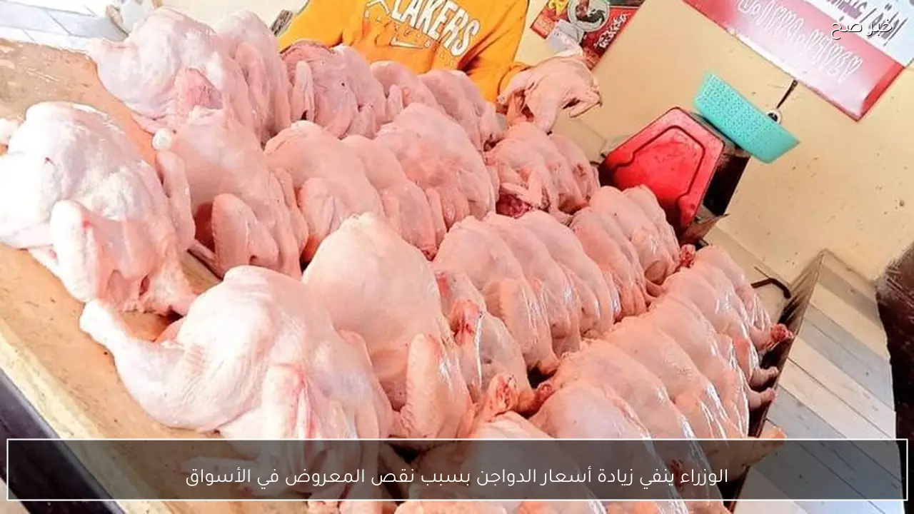 الوزراء ينفي زيادة أسعار الدواجن بسبب نقص المعروض في الأسواق