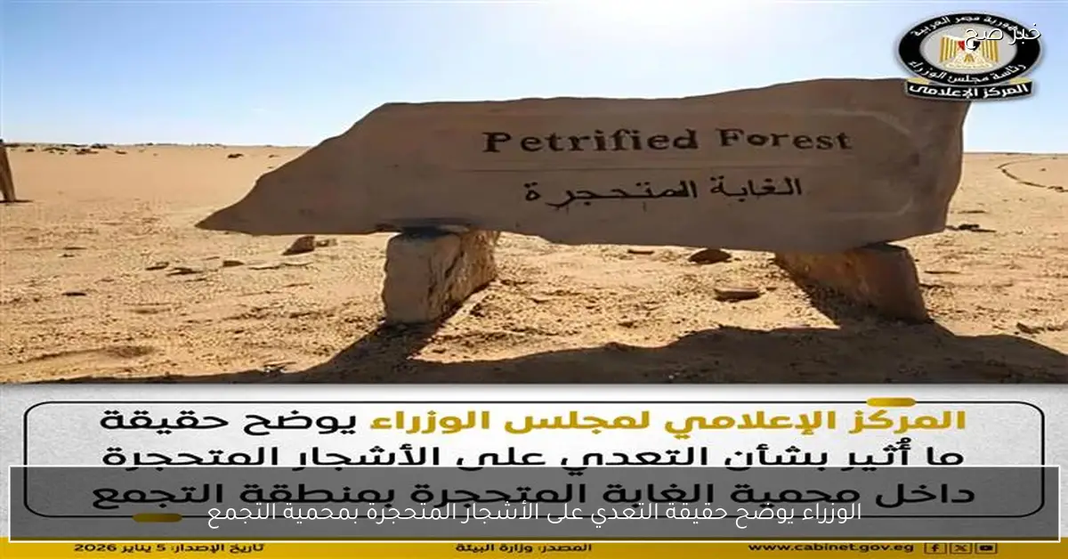 الوزراء يوضح حقيقة التعدي على الأشجار المتحجرة بمحمية التجمع