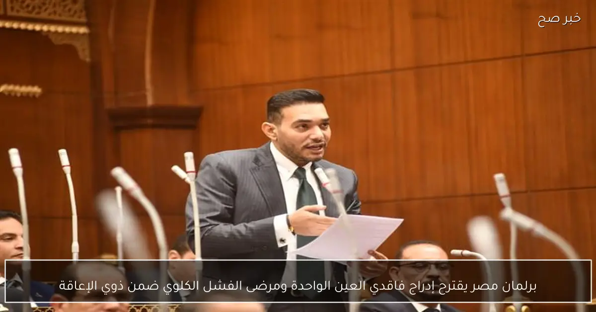 برلمان مصر يقترح إدراج فاقدي العين الواحدة ومرضى الفشل الكلوي ضمن ذوي الإعاقة