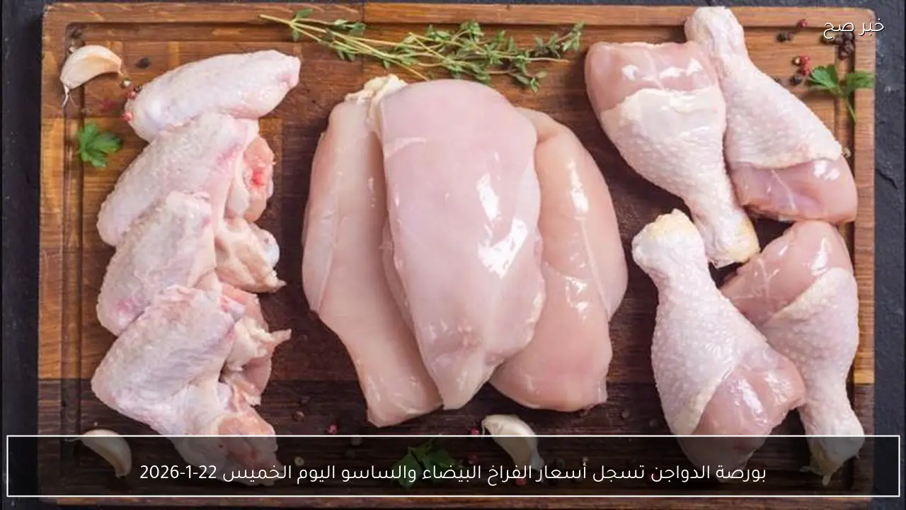 بورصة الدواجن تسجل أسعار الفراخ البيضاء والساسو اليوم الخميس 22-1-2026