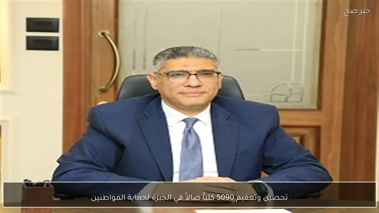 تحصين وتعقيم 5090 كلباً ضالاً في الجيزة لحماية المواطنين