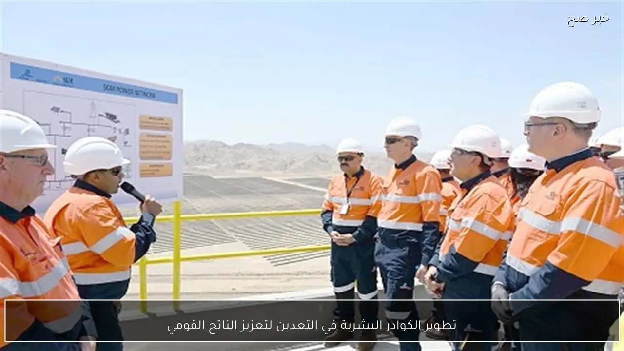 تطوير الكوادر البشرية في التعدين لتعزيز الناتج القومي