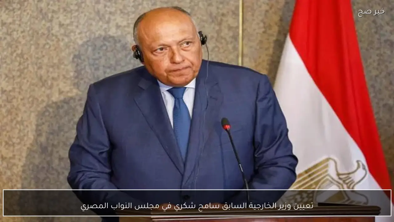 تعيين وزير الخارجية السابق سامح شكري في مجلس النواب المصري