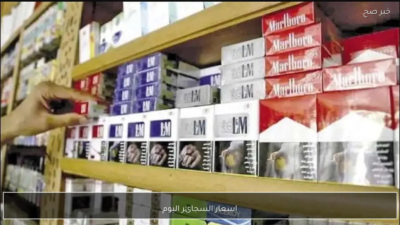 اسعار السجائر اليوم في مصر.. ثبات جديد داخل المحلات والأكشاك