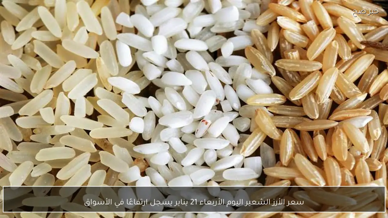 سعر الأرز الشعير اليوم الأربعاء 21 يناير يسجل ارتفاعًا في الأسواق