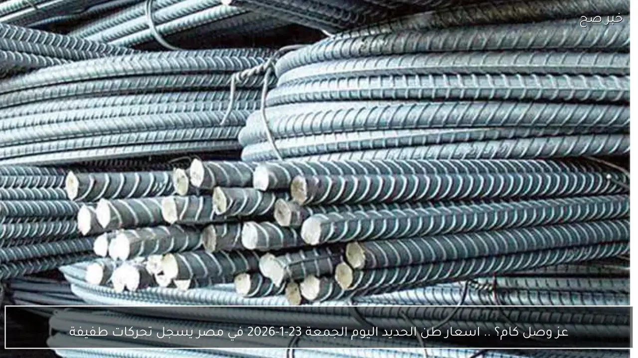 عز وصل كام؟ .. اسعار طن الحديد اليوم الجمعة 23-1-2026 في مصر يسجل تحركات طفيفة