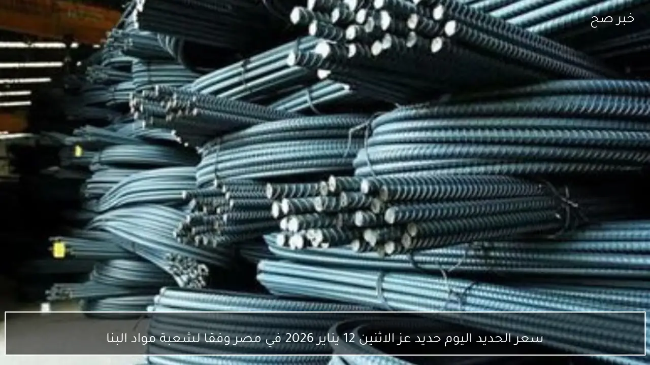 سعر الحديد اليوم حديد عز الاثنين 12 يناير 2026 في مصر وفقا لشعبة مواد البناء