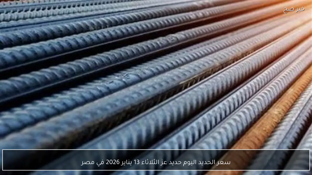 سعر الحديد اليوم حديد عز الثلاثاء 13 يناير 2026 في مصر