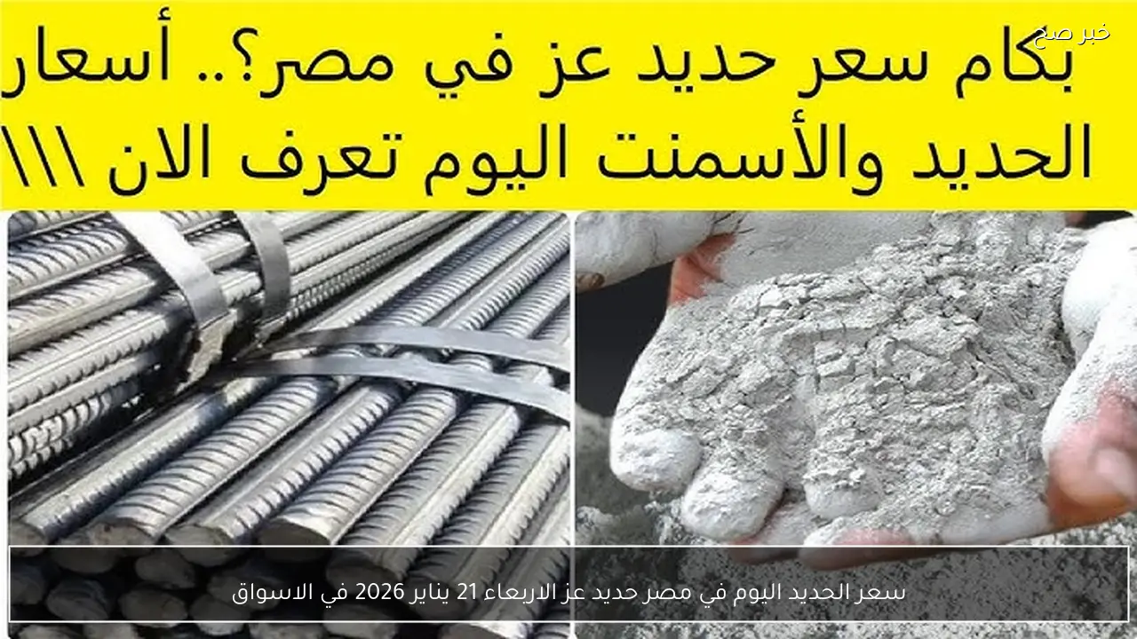 سعر الحديد اليوم في مصر حديد عز الاربعاء 21 يناير 2026 في الاسواق