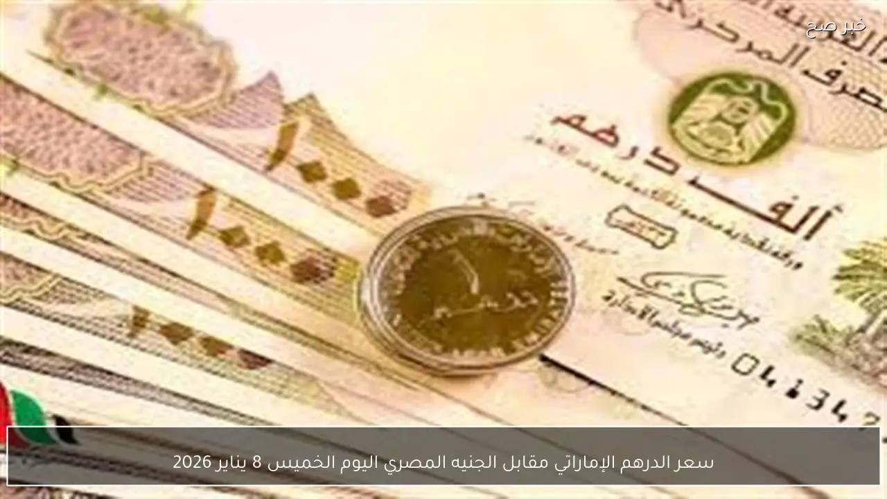 سعر الدرهم الإماراتي مقابل الجنيه المصري اليوم الخميس 8 يناير 2026