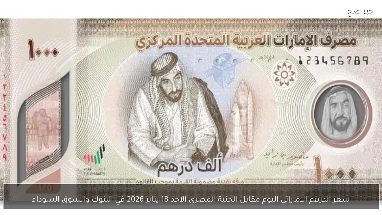 سعر الدرهم الاماراتي اليوم مقابل الجنية المصري الاحد 18 يناير 2026 في البنوك والسوق السوداء