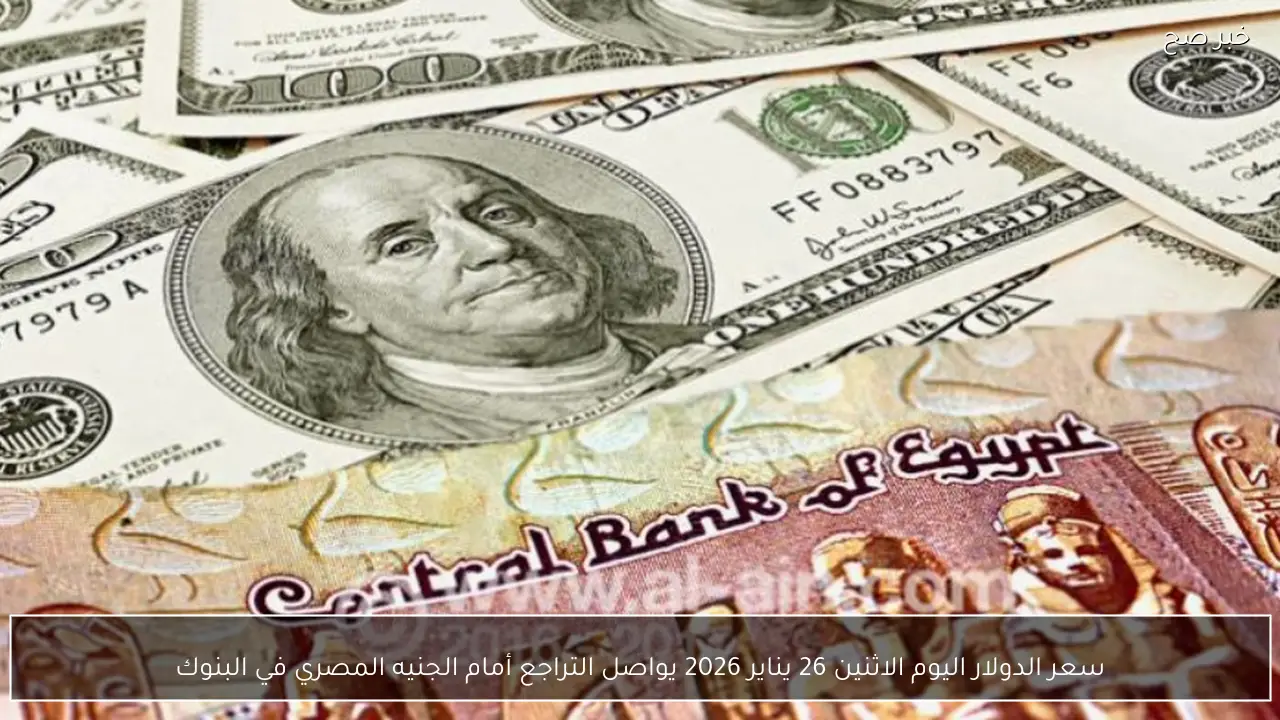 سعر الدولار اليوم الاثنين 26 يناير 2026 يواصل التراجع أمام الجنيه المصري في البنوك
