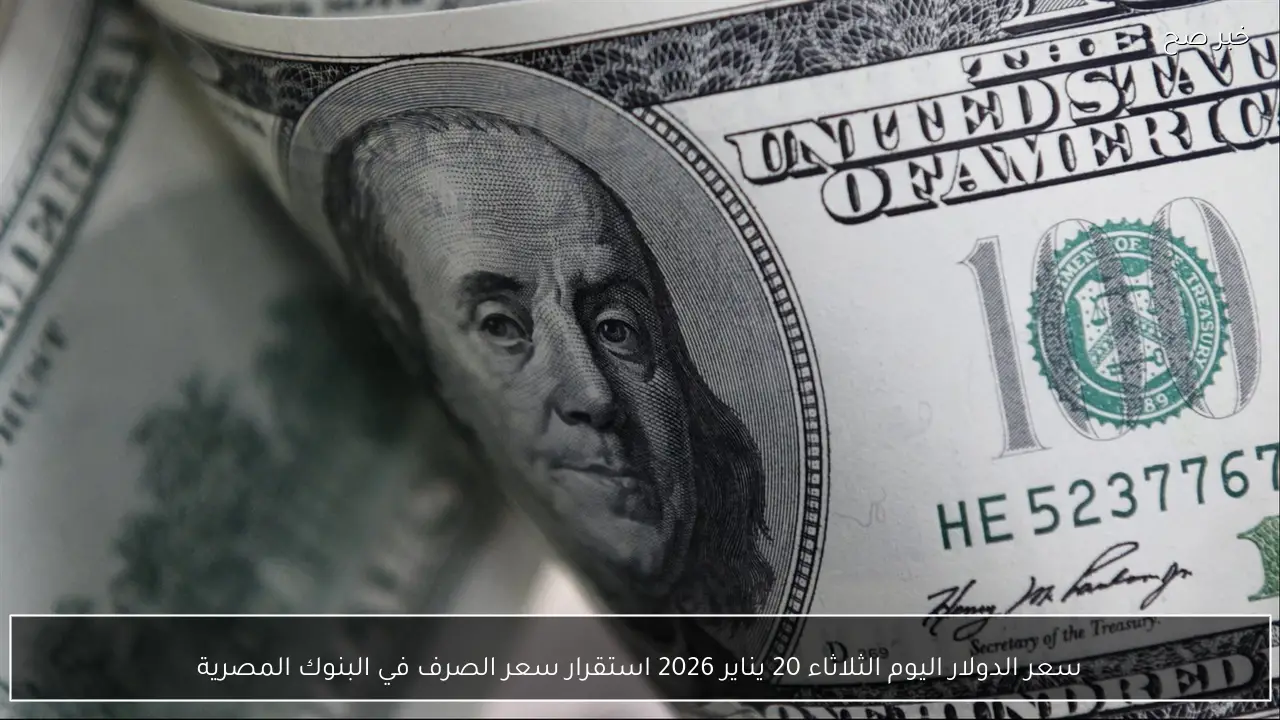 سعر الدولار اليوم الثلاثاء 20 يناير 2026 استقرار سعر الصرف في البنوك المصرية