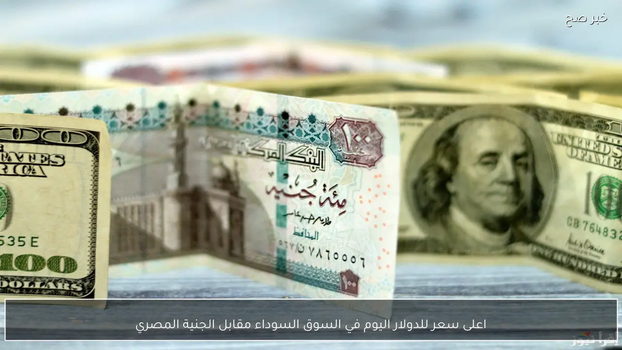 100 دولار كم جنية.. اعلى سعر للدولار اليوم في السوق السوداء مقابل الجنية المصري