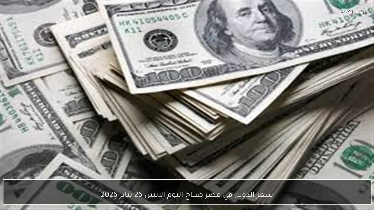 سعر الدولار في مصر صباح اليوم الاثنين 26 يناير 2026