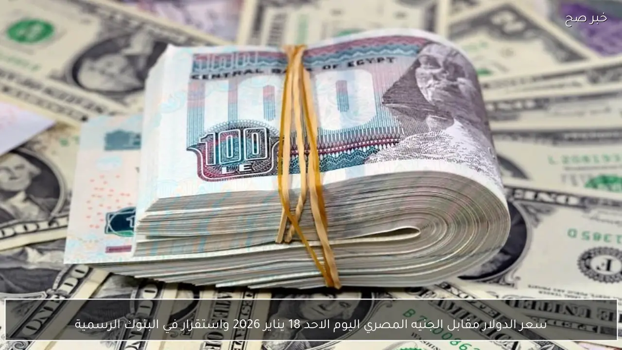 سعر الدولار مقابل الجنيه المصري اليوم الاحد 18 يناير 2026 واستقرار في البنوك الرسمية
