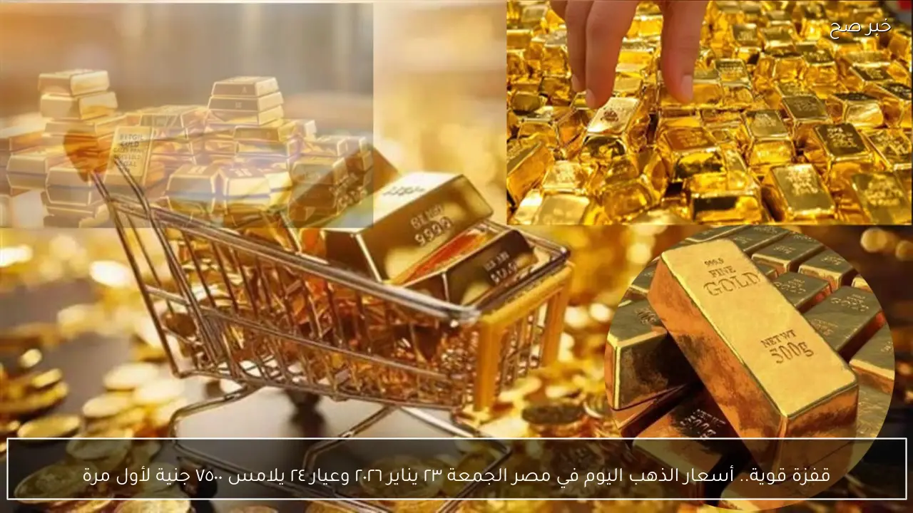 قفزة قوية.. أسعار الذهب اليوم في مصر الجمعة ٢٣ يناير ٢٠٢٦ وعيار ٢٤ يلامس ٧٥٠٠ جنية لأول مرة